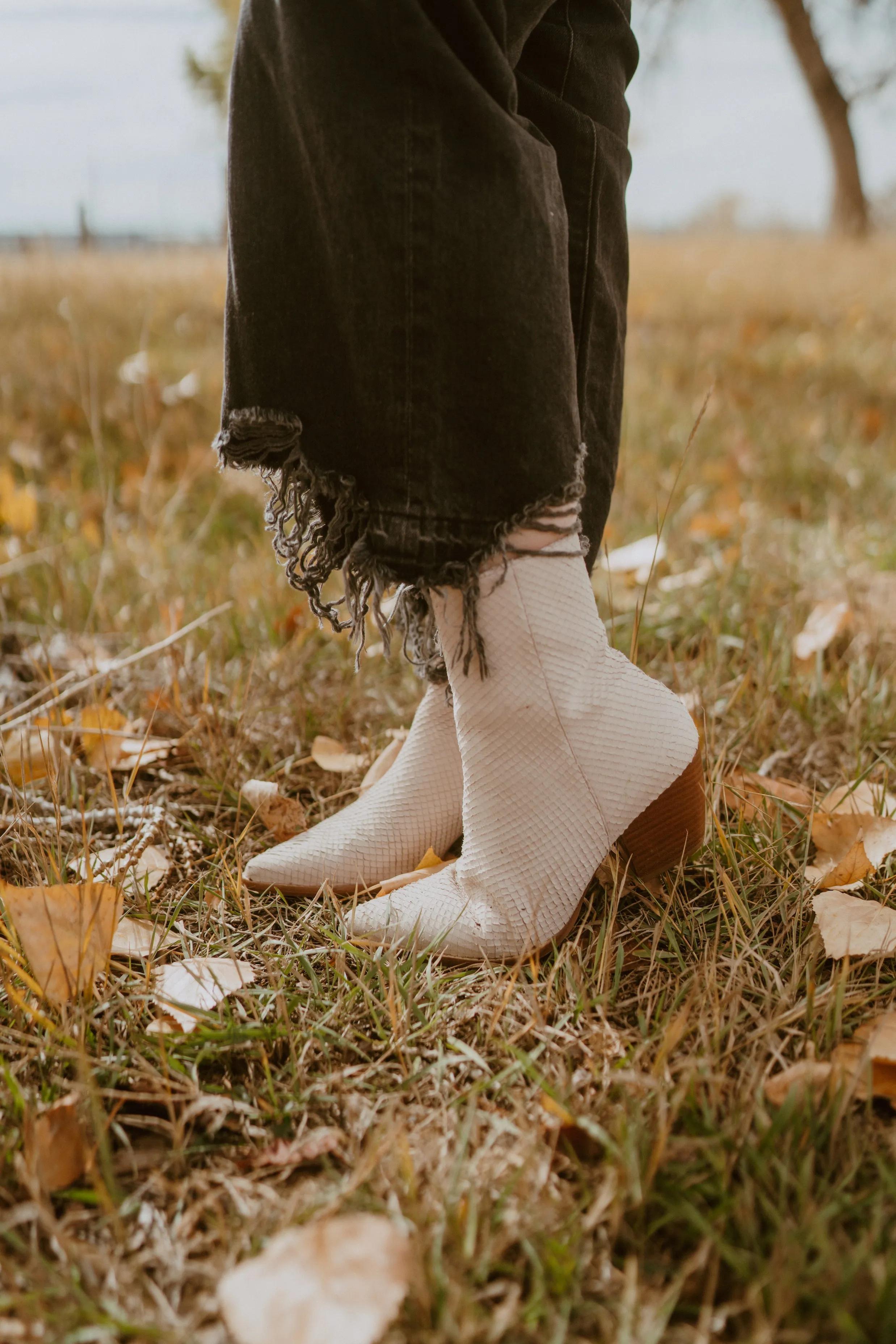 Caty Boot | Blush