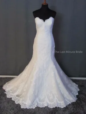 Maggie Sottero Cadence 6ME235 Size 20
