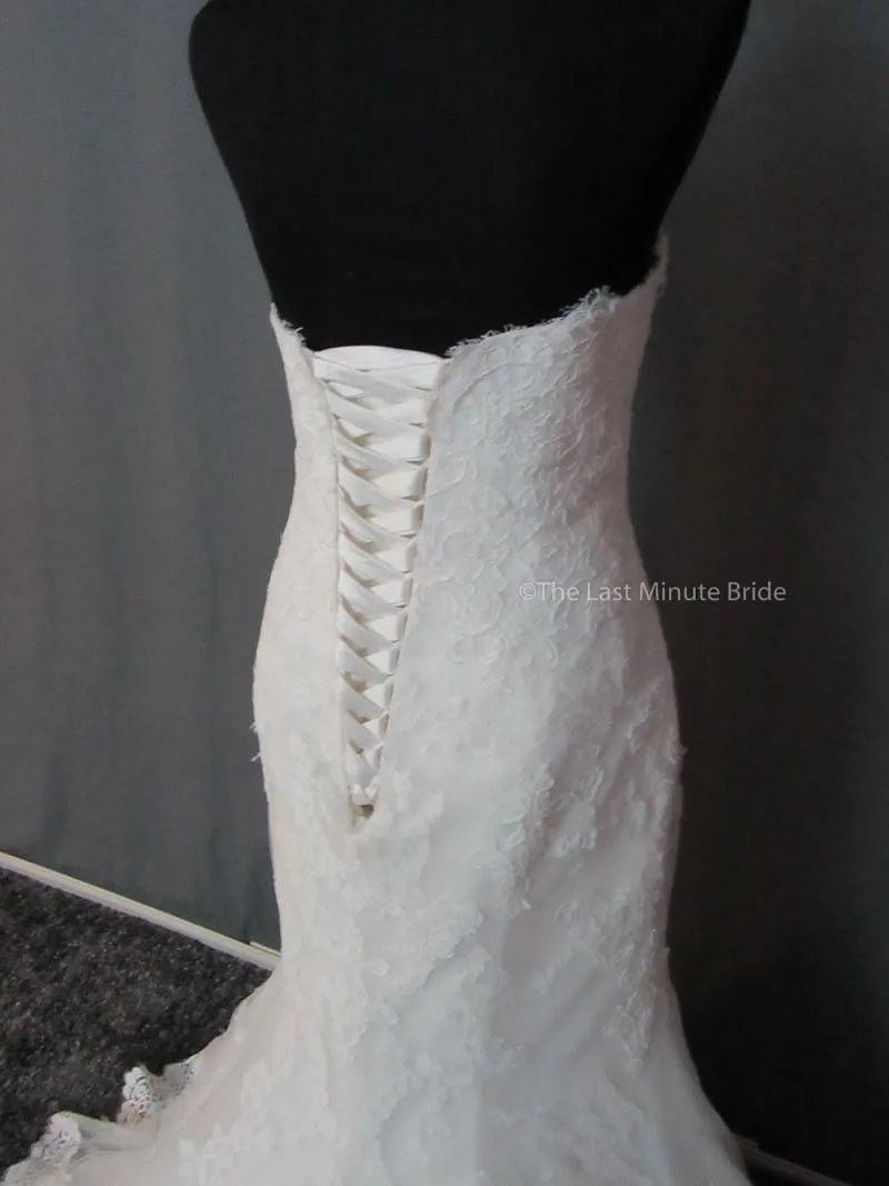 Maggie Sottero Cadence 6ME235 Size 20